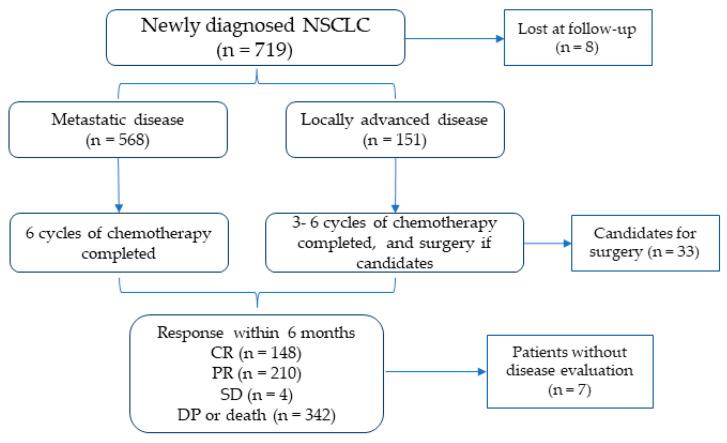 https://cdn.ncbi.nlm.nih.gov/pmc/blobs/36ec/12190336/8411bb9b3f6f/cancers-17-01932-g001.jpg
