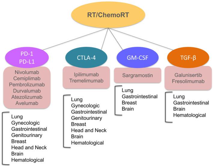 https://cdn.ncbi.nlm.nih.gov/pmc/blobs/3706/7332212/224c6ad600e3/MOL2-14-1529-g001.jpg