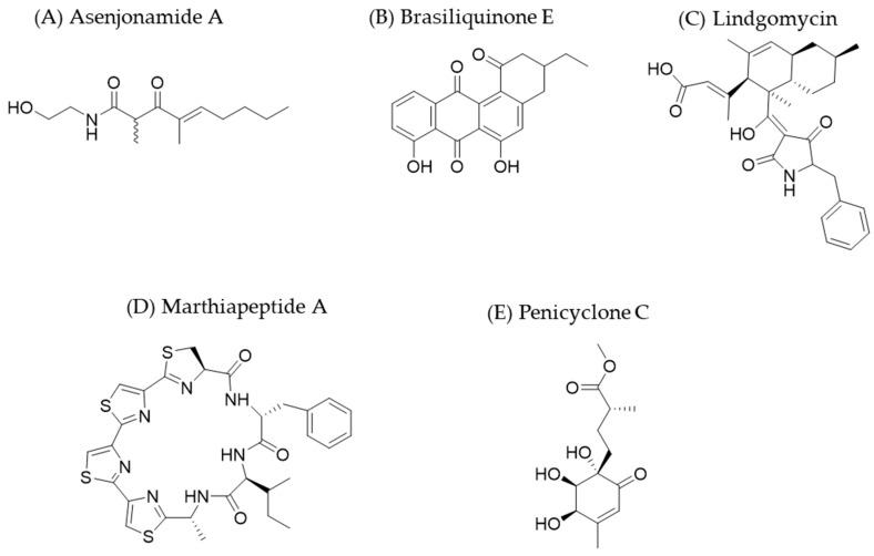 https://cdn.ncbi.nlm.nih.gov/pmc/blobs/3707/12251386/5f3987171336/molecules-30-02868-g002.jpg