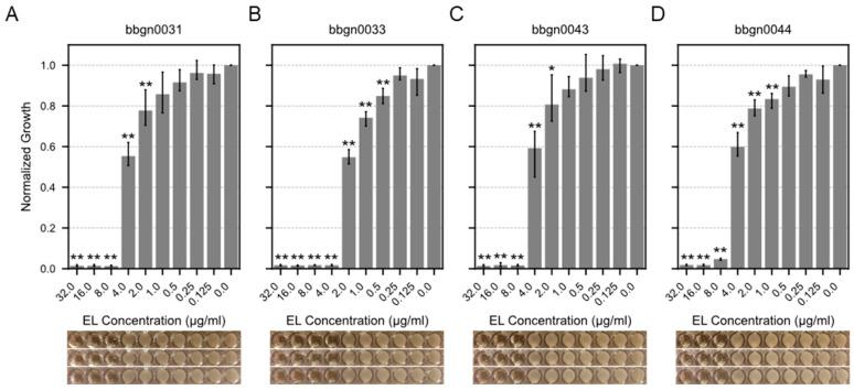 https://cdn.ncbi.nlm.nih.gov/pmc/blobs/3713/11860666/071337273d01/viruses-17-00200-g003.jpg