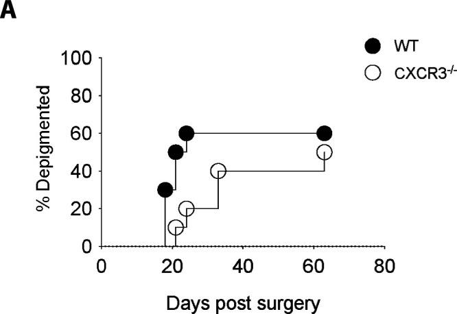https://cdn.ncbi.nlm.nih.gov/pmc/blobs/3736/8356251/70629217111e/LSA-2021-01056_FigS5.jpg