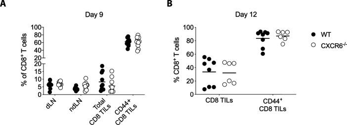 https://cdn.ncbi.nlm.nih.gov/pmc/blobs/3736/8356251/bcee97c15bc1/LSA-2021-01056_FigS7.jpg