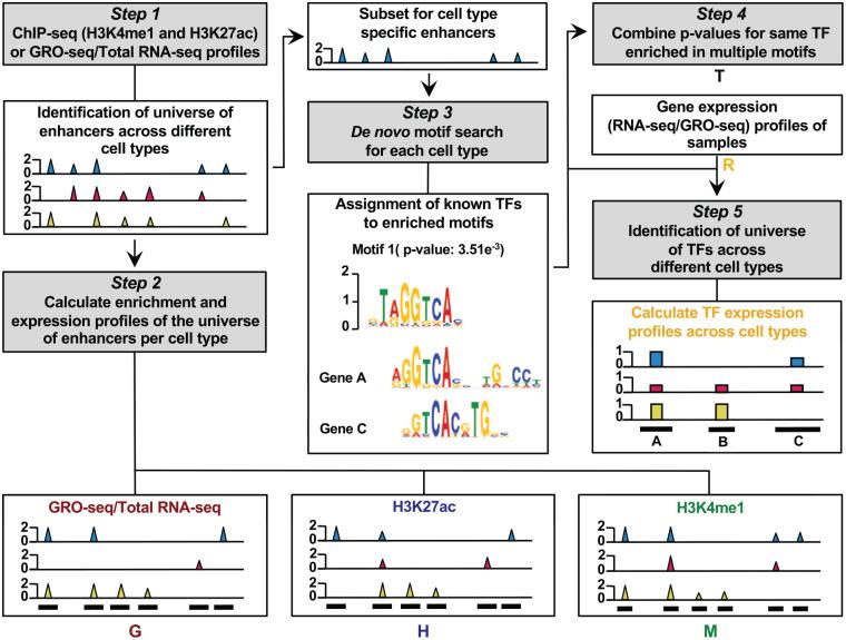 https://cdn.ncbi.nlm.nih.gov/pmc/blobs/3741/7331761/7b27cc65bdfb/10.1177_1177932220938063-fig2.jpg