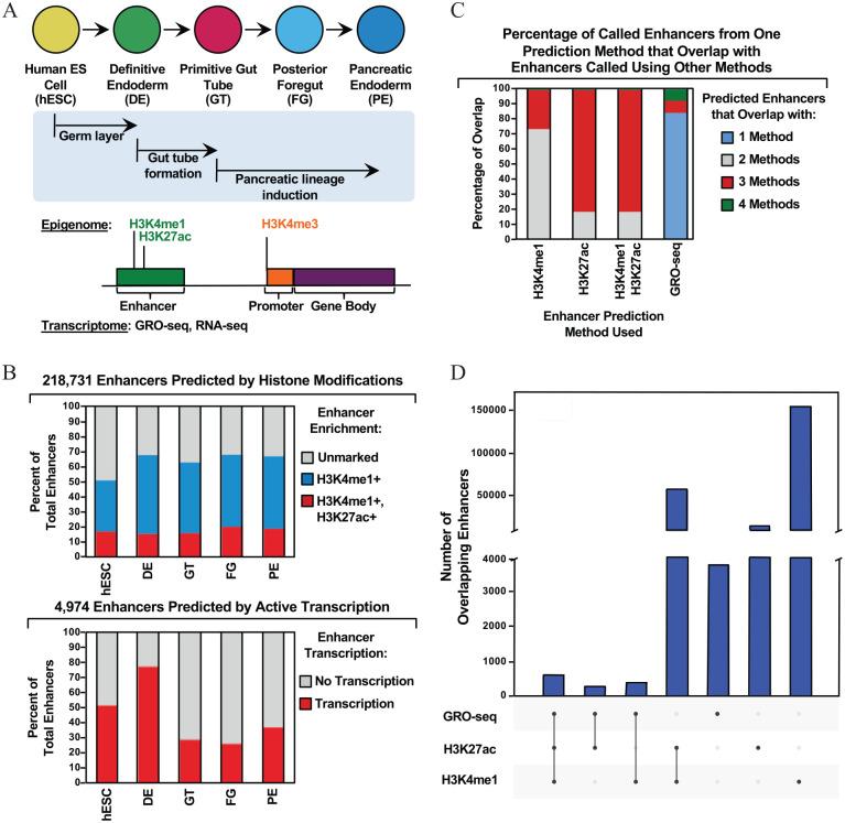 https://cdn.ncbi.nlm.nih.gov/pmc/blobs/3741/7331761/e6872dd3bc44/10.1177_1177932220938063-fig4.jpg
