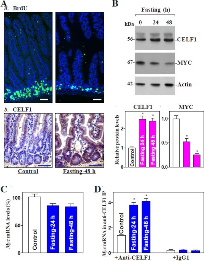 https://cdn.ncbi.nlm.nih.gov/pmc/blobs/3772/4436827/225a0e632554/1797fig1.jpg