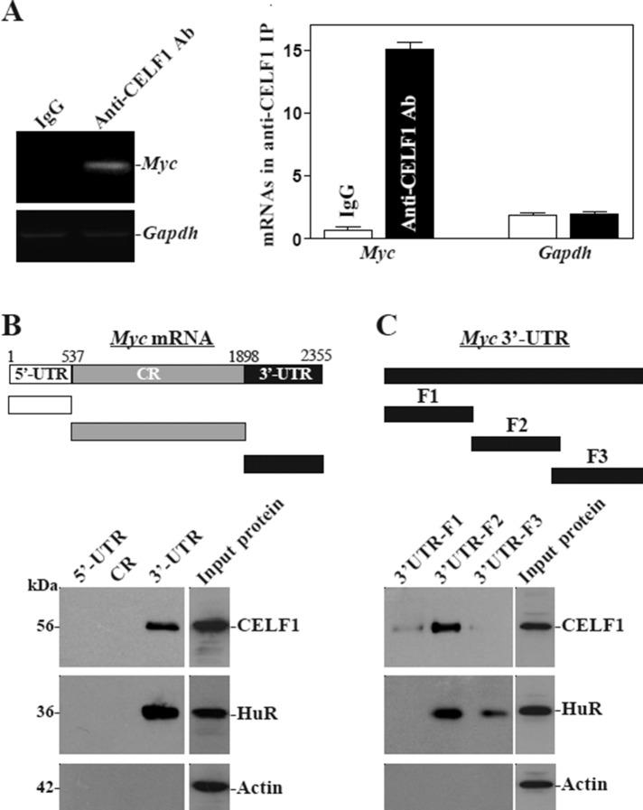 https://cdn.ncbi.nlm.nih.gov/pmc/blobs/3772/4436827/f0baee975147/1797fig2.jpg