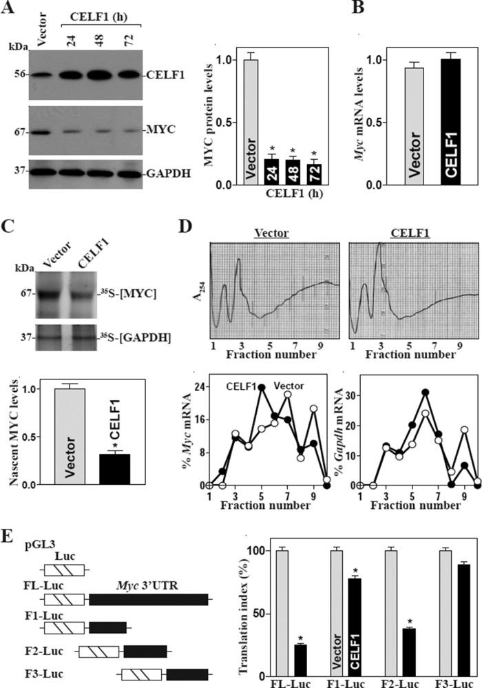 https://cdn.ncbi.nlm.nih.gov/pmc/blobs/3772/4436827/fd2e639beb1a/1797fig3.jpg