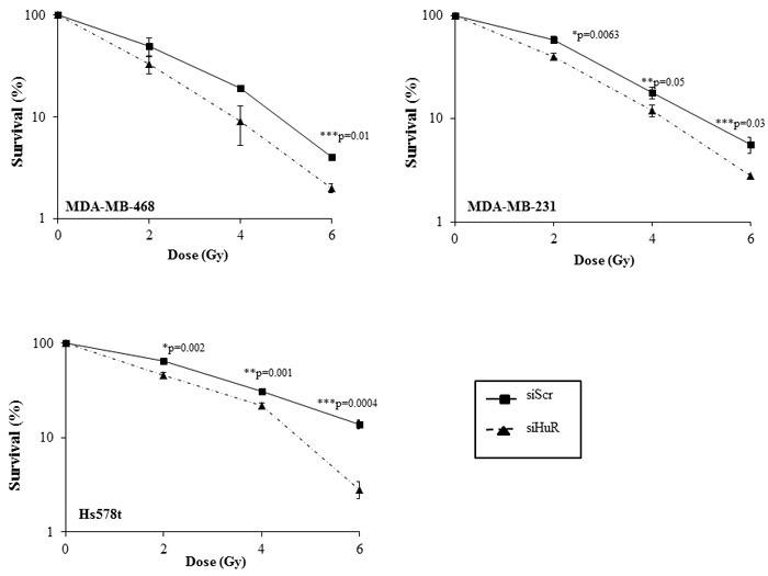 https://cdn.ncbi.nlm.nih.gov/pmc/blobs/3778/5323119/e49fc5392d67/oncotarget-07-64820-g003.jpg
