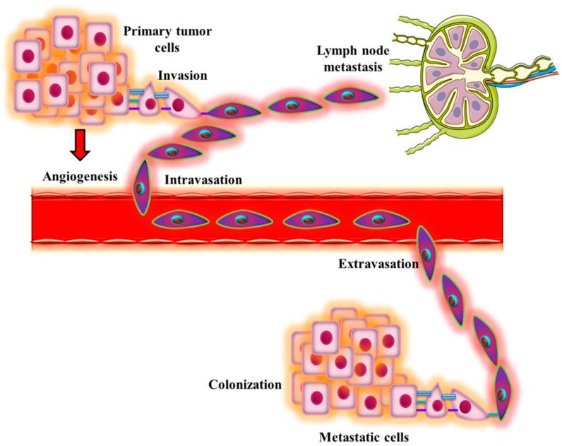 https://cdn.ncbi.nlm.nih.gov/pmc/blobs/3778/9921150/10289830766b/molecules-28-00987-g001.jpg