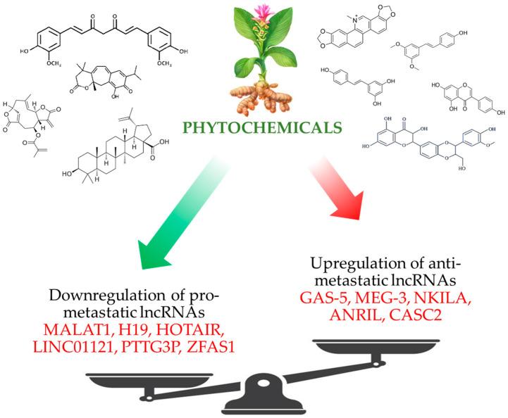 https://cdn.ncbi.nlm.nih.gov/pmc/blobs/3778/9921150/4f81de931bf4/molecules-28-00987-g004.jpg