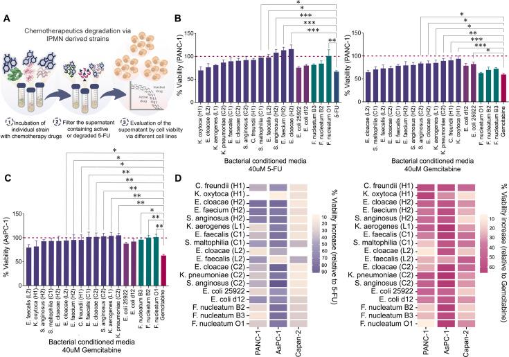 https://cdn.ncbi.nlm.nih.gov/pmc/blobs/3779/12403566/b2d88bd35ca7/spectrum.01820-25.f002.jpg