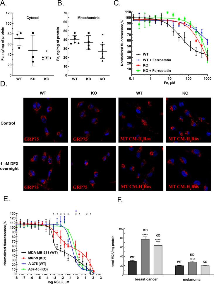 https://cdn.ncbi.nlm.nih.gov/pmc/blobs/377d/11081632/2bd9e1bfc77a/elife-86354-fig4.jpg