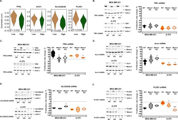 https://cdn.ncbi.nlm.nih.gov/pmc/blobs/377d/11081632/2cf1b6ad5430/elife-86354-fig2.jpg