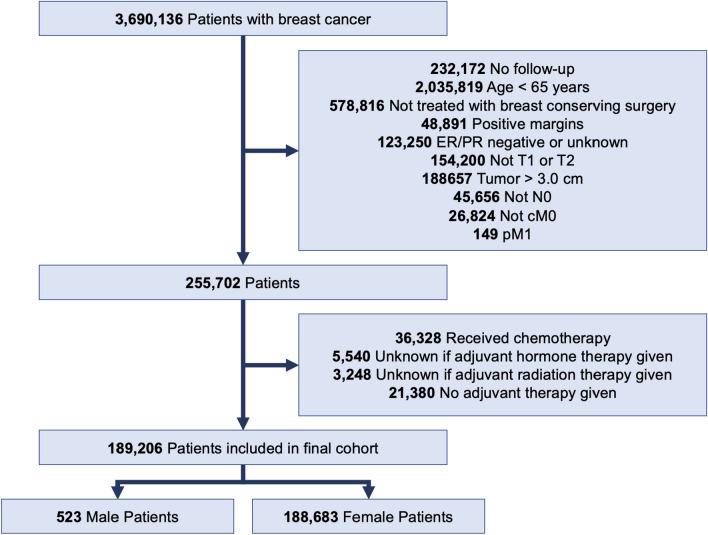 https://cdn.ncbi.nlm.nih.gov/pmc/blobs/37c6/11045584/f9d912ff455e/12282_2024_1560_Fig1_HTML.jpg