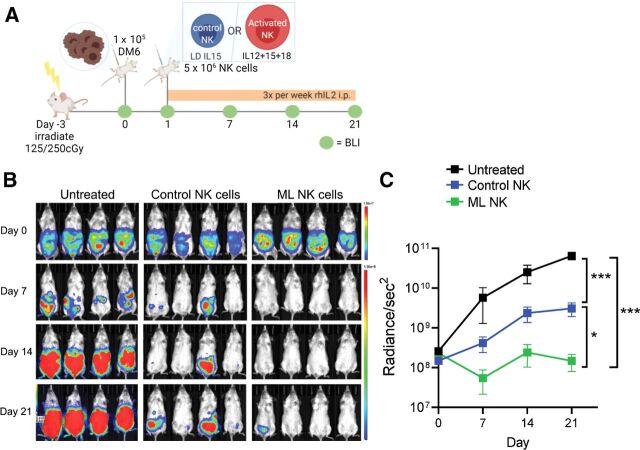 https://cdn.ncbi.nlm.nih.gov/pmc/blobs/37d1/9401454/8921de868906/4859fig5.jpg