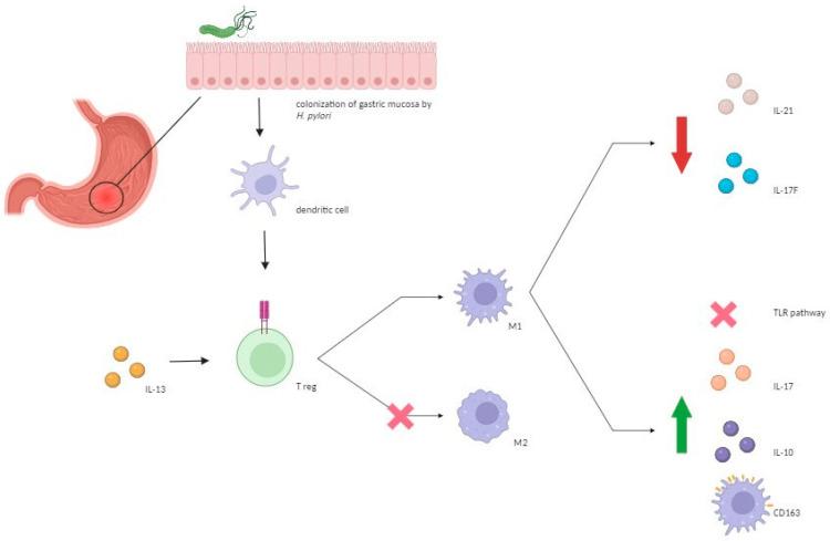 https://cdn.ncbi.nlm.nih.gov/pmc/blobs/380b/10967592/b8f28397627b/antibiotics-13-00267-g001.jpg