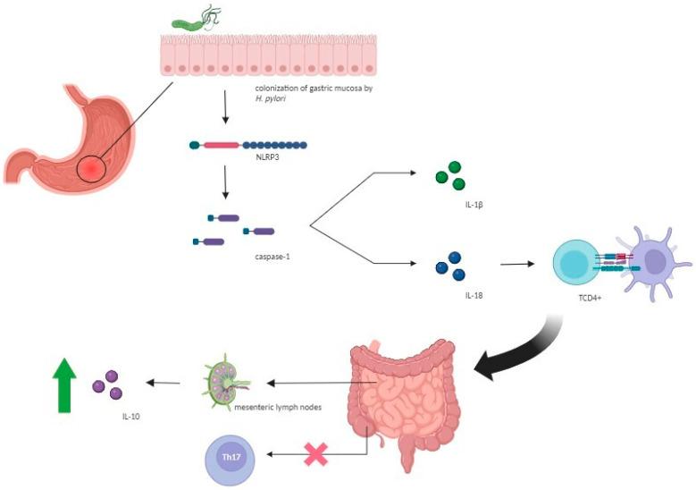 https://cdn.ncbi.nlm.nih.gov/pmc/blobs/380b/10967592/c14896dbf76a/antibiotics-13-00267-g002.jpg