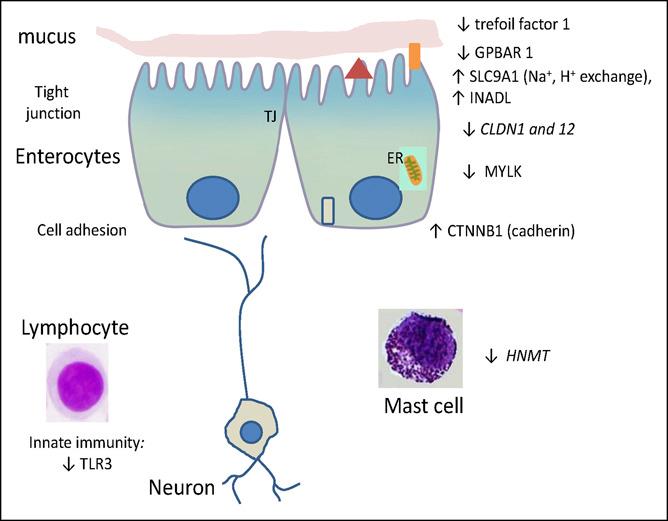 https://cdn.ncbi.nlm.nih.gov/pmc/blobs/382d/8043738/25ef39c923b7/ct9-12-e00329-g001.jpg