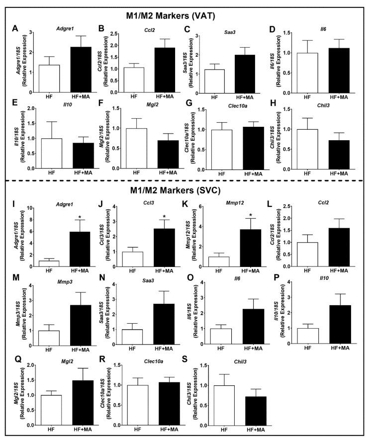 https://cdn.ncbi.nlm.nih.gov/pmc/blobs/3837/9220168/19af6ce2d7bd/biomolecules-12-00739-g004.jpg