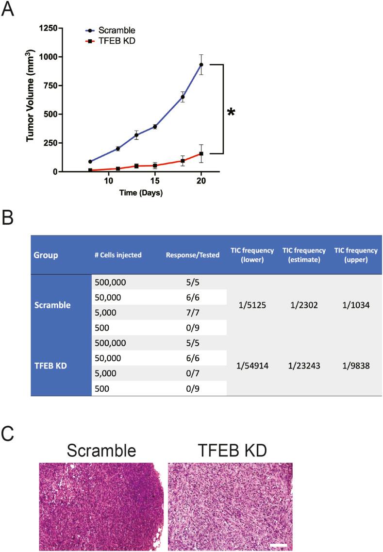 https://cdn.ncbi.nlm.nih.gov/pmc/blobs/389b/11735543/e69800fb28ed/LSA-2023-02259_Fig2.jpg