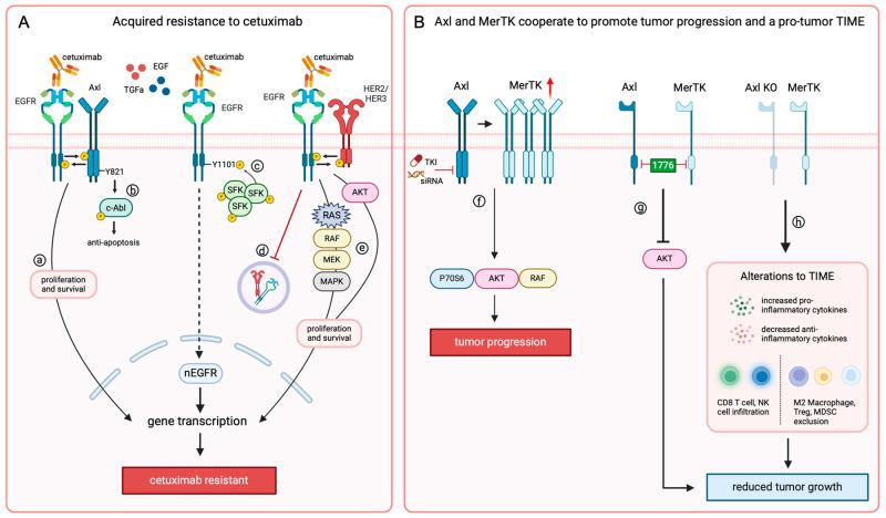https://cdn.ncbi.nlm.nih.gov/pmc/blobs/38c8/11508784/cf392168742d/jcm-13-06036-g002.jpg