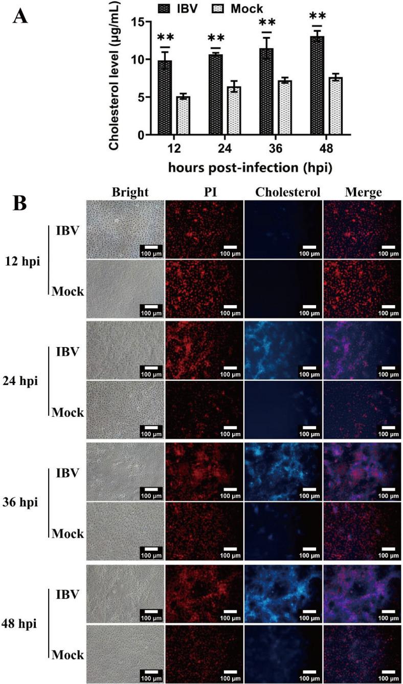 https://cdn.ncbi.nlm.nih.gov/pmc/blobs/38d8/11429478/71094ae0d1bc/13567_2024_1368_Fig1_HTML.jpg