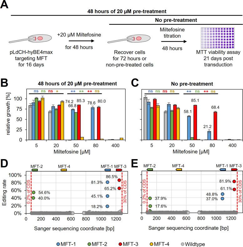 https://cdn.ncbi.nlm.nih.gov/pmc/blobs/391b/10208639/0ce080867661/elife-85605-fig6.jpg