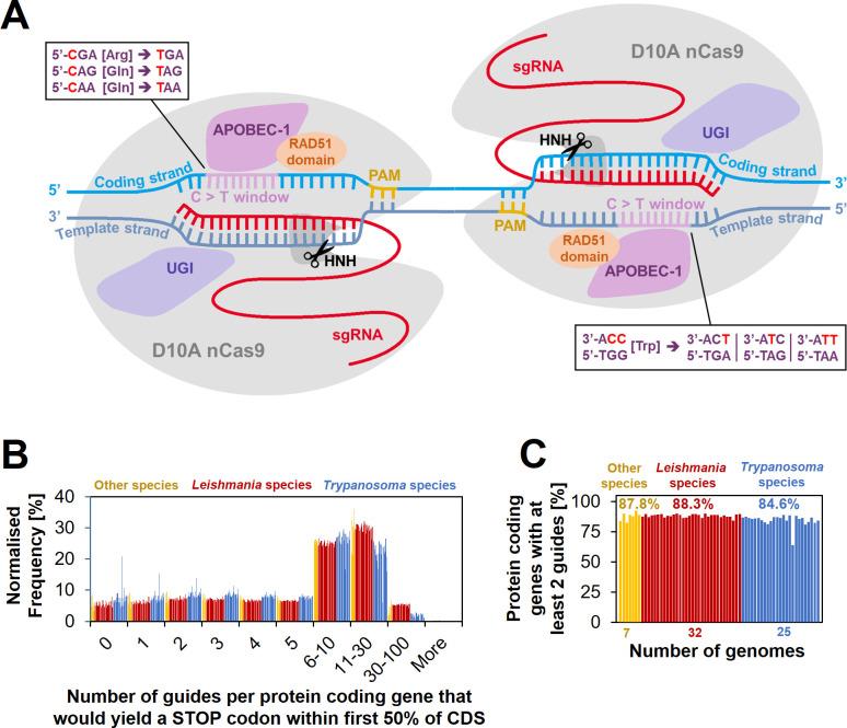 https://cdn.ncbi.nlm.nih.gov/pmc/blobs/391b/10208639/2e42bb5756ec/elife-85605-fig1.jpg