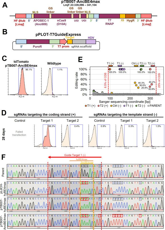 https://cdn.ncbi.nlm.nih.gov/pmc/blobs/391b/10208639/3f0d3bc3ce60/elife-85605-fig3-figsupp2.jpg