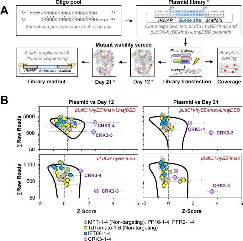 https://cdn.ncbi.nlm.nih.gov/pmc/blobs/391b/10208639/59cc71a269e2/elife-85605-fig7.jpg