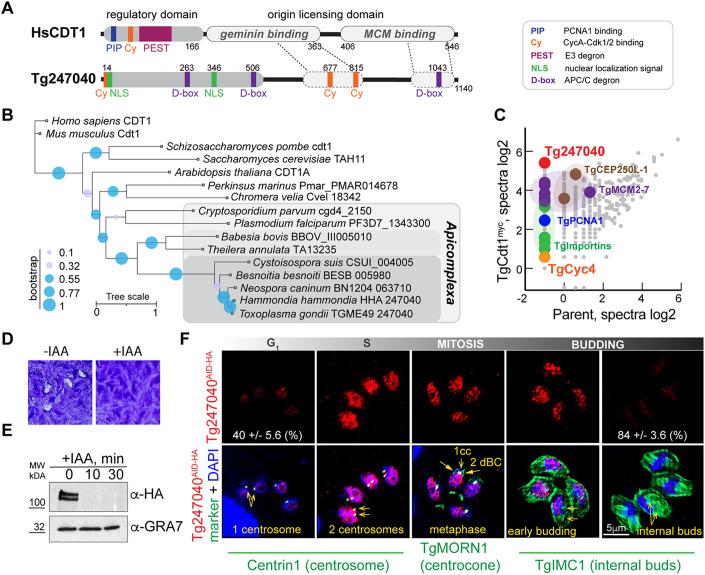 https://cdn.ncbi.nlm.nih.gov/pmc/blobs/391b/11148040/a94e2bc43efe/44318_2024_95_Fig6_HTML.jpg