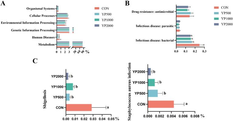 https://cdn.ncbi.nlm.nih.gov/pmc/blobs/3933/12337279/ca753d41be39/fvets-12-1645176-g004.jpg
