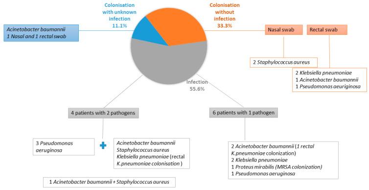 https://cdn.ncbi.nlm.nih.gov/pmc/blobs/393d/9598219/4fa1112b81eb/antibiotics-11-01411-g001.jpg