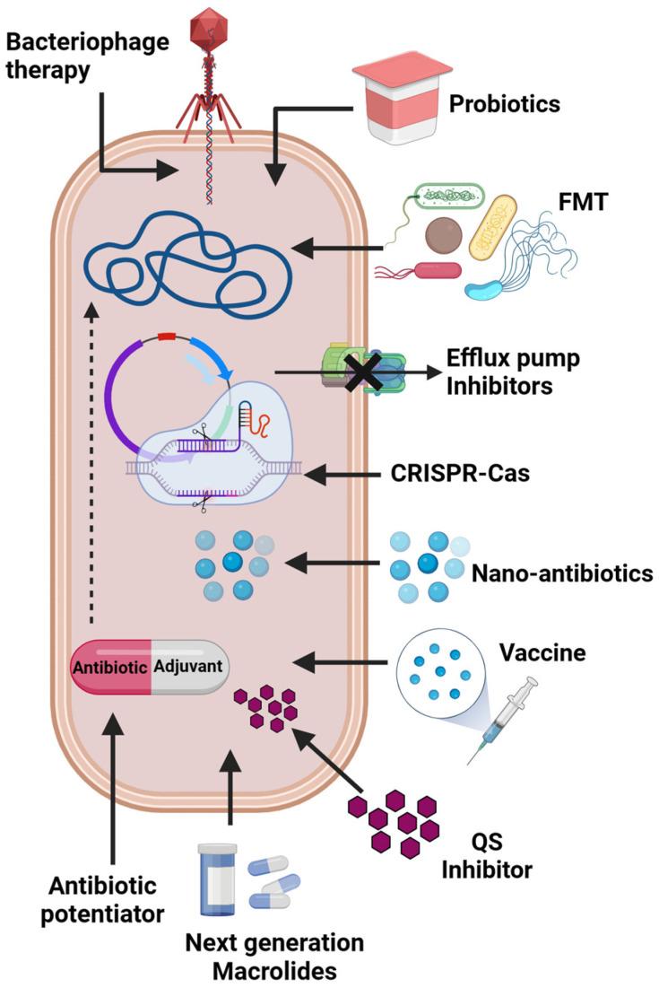 https://cdn.ncbi.nlm.nih.gov/pmc/blobs/3947/10740890/14fa878a0109/antibiotics-12-01715-g002.jpg