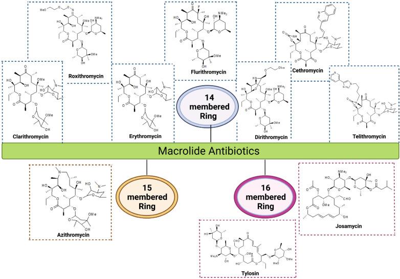 https://cdn.ncbi.nlm.nih.gov/pmc/blobs/3947/10740890/25e8ad476280/antibiotics-12-01715-g001.jpg