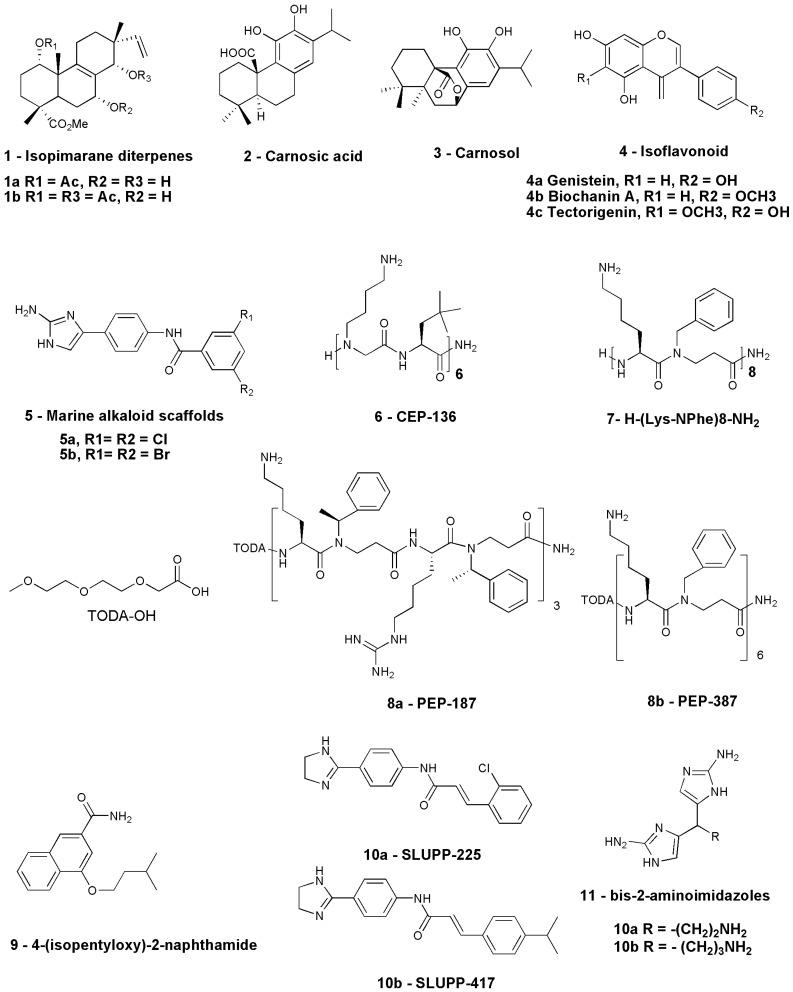 https://cdn.ncbi.nlm.nih.gov/pmc/blobs/3947/10740890/5b349d6f4f15/antibiotics-12-01715-g003.jpg