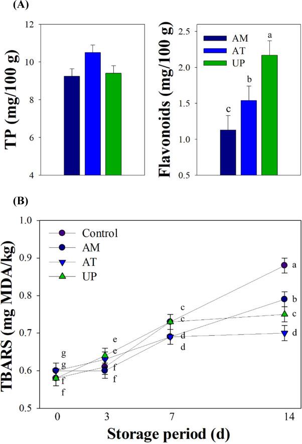 https://cdn.ncbi.nlm.nih.gov/pmc/blobs/3952/8277173/c87982111c47/kosfa-41-4-664-g1.jpg