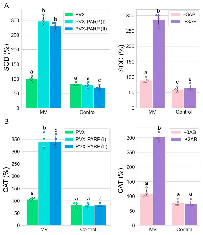 https://cdn.ncbi.nlm.nih.gov/pmc/blobs/3958/11395660/3614d4d55c58/ijms-25-09367-g006.jpg
