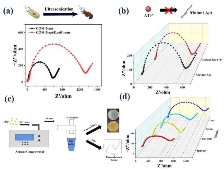 https://cdn.ncbi.nlm.nih.gov/pmc/blobs/3965/9496278/a7ba84519190/biosensors-12-00725-g005.jpg