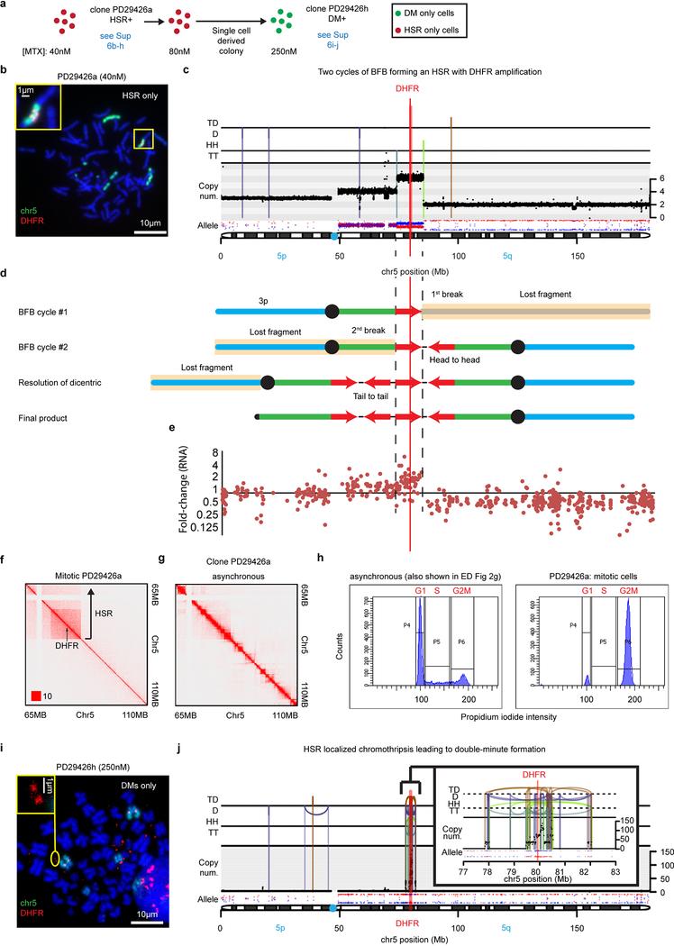 https://cdn.ncbi.nlm.nih.gov/pmc/blobs/3969/7933129/b72c87d88aa2/nihms-1650184-f0010.jpg