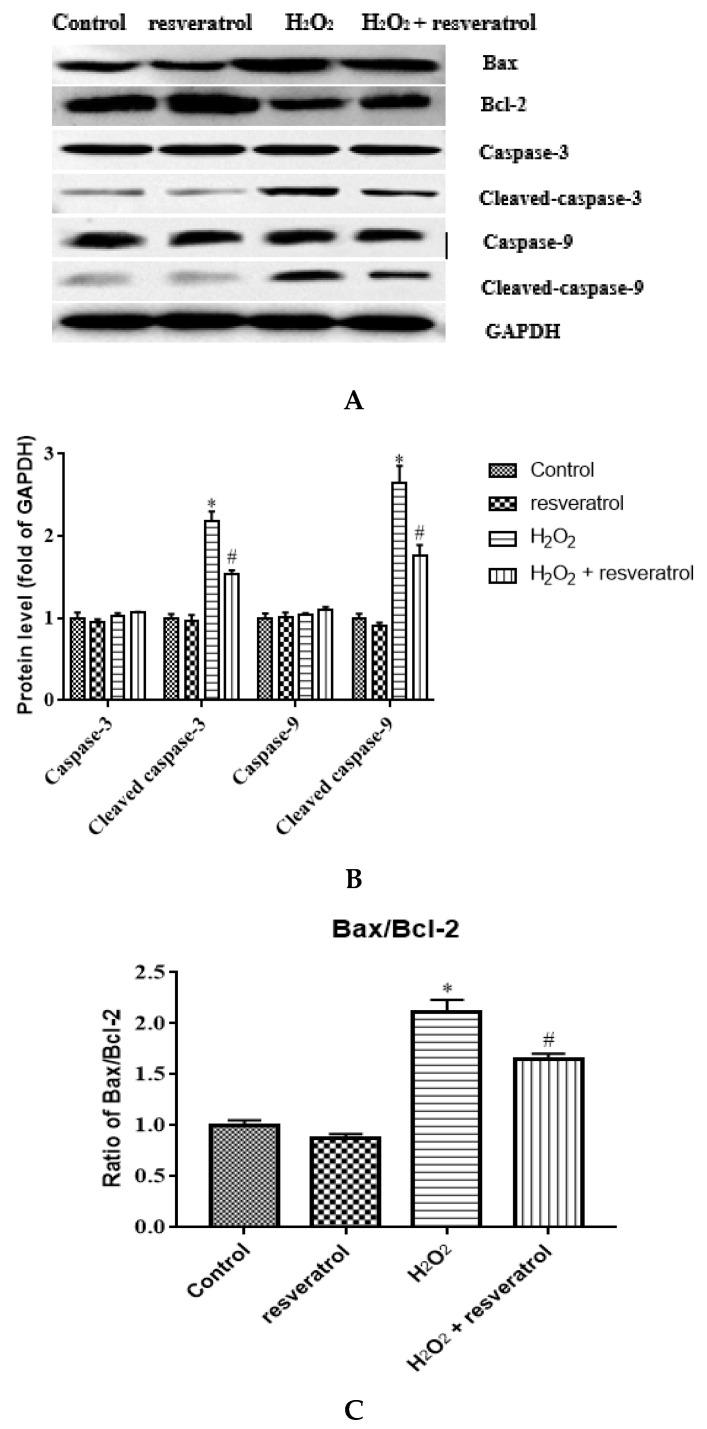 https://cdn.ncbi.nlm.nih.gov/pmc/blobs/396c/9182484/502b8b554258/molecules-27-03542-g008.jpg