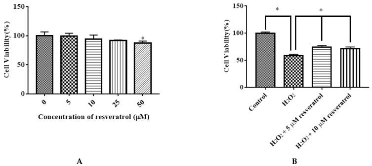 https://cdn.ncbi.nlm.nih.gov/pmc/blobs/396c/9182484/ce226a2ce961/molecules-27-03542-g005.jpg