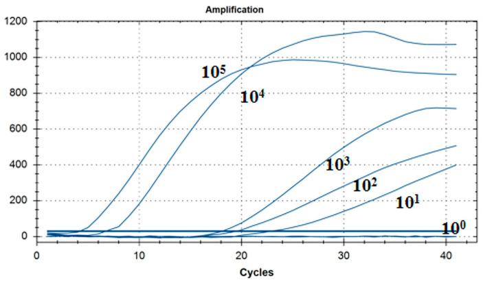 https://cdn.ncbi.nlm.nih.gov/pmc/blobs/398d/11279307/3f523316512a/microorganisms-12-01315-g005.jpg