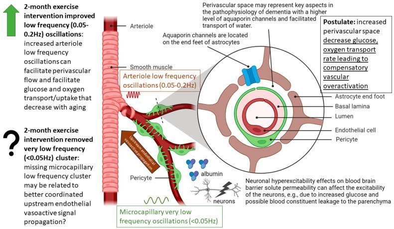 https://cdn.ncbi.nlm.nih.gov/pmc/blobs/3997/10377417/73298a1c07bf/brainsci-13-01099-g011.jpg