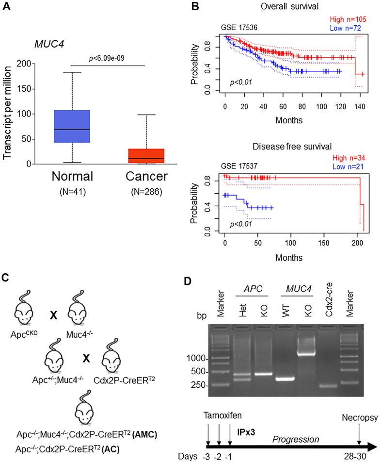 https://cdn.ncbi.nlm.nih.gov/pmc/blobs/39a6/8954958/90c9f6f737ce/aging-14-203935-g001.jpg