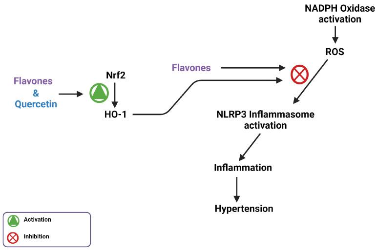 https://cdn.ncbi.nlm.nih.gov/pmc/blobs/39ad/10669108/3d626bf1623b/biomedicines-11-02877-g007.jpg