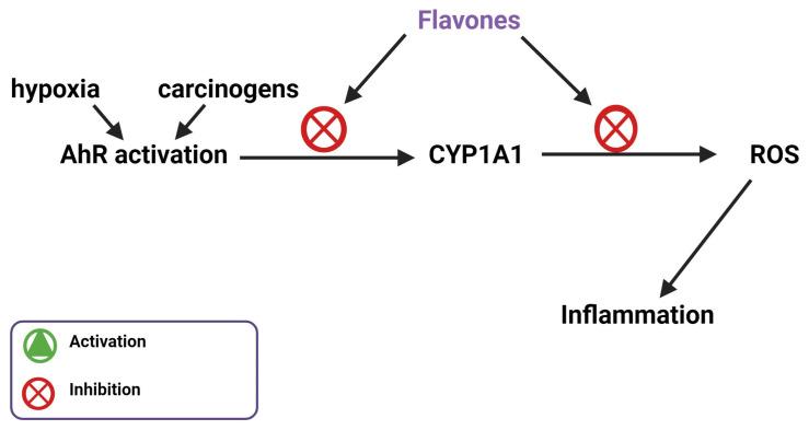 https://cdn.ncbi.nlm.nih.gov/pmc/blobs/39ad/10669108/65474c644210/biomedicines-11-02877-g008.jpg