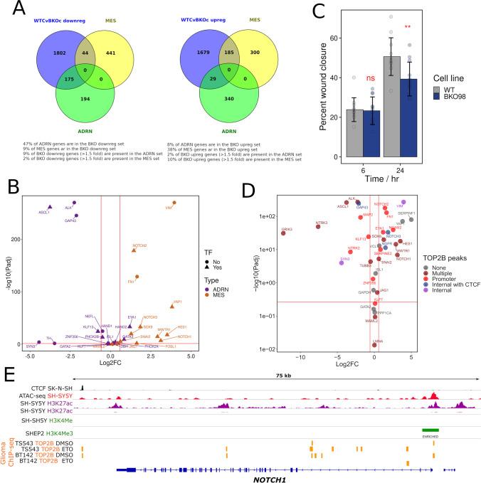 https://cdn.ncbi.nlm.nih.gov/pmc/blobs/39b3/9463316/e13a2e4e2544/12035_2022_2949_Fig5_HTML.jpg