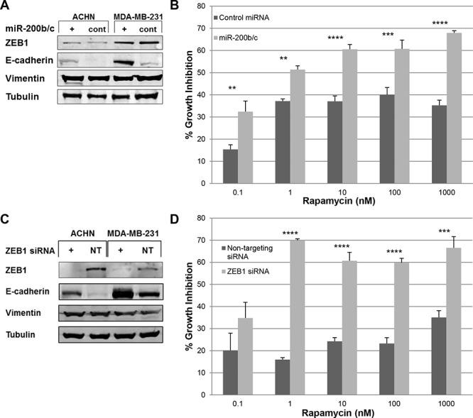 https://cdn.ncbi.nlm.nih.gov/pmc/blobs/39d2/4637301/213231473a1e/oncotarget-06-19500-g004.jpg