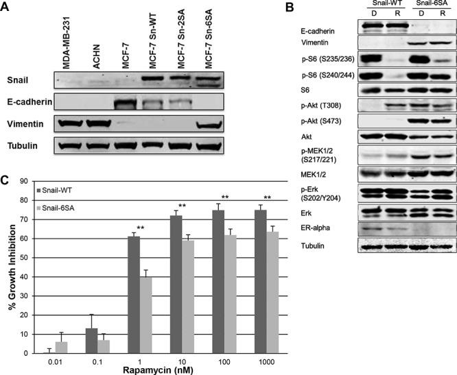 https://cdn.ncbi.nlm.nih.gov/pmc/blobs/39d2/4637301/9fea8a5f372f/oncotarget-06-19500-g003.jpg